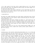 아동복지정책 레포트-4
