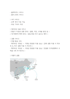 에어부산 서비스분석과 SWOT분석및 에어부산 마케팅전략 분석및 향후 마케팅전략 제시 -에어부산 마케팅연구 레포트-10