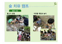 [아동교육] 숲 프로그램과 실제-16