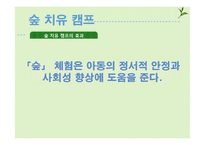 [아동교육] 숲 프로그램과 실제-18