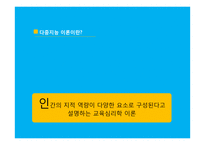 [교육심리] 가드너 다중지능 이론-5