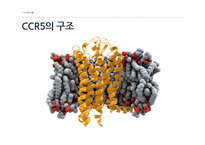 [의약] 의약품 화학 실험-CCR5 antagonists-5