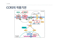 [의약] 의약품 화학 실험-CCR5 antagonists-7