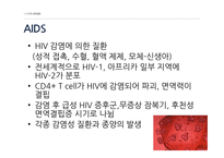 [의약] 의약품 화학 실험-CCR5 antagonists-9