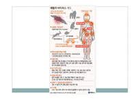 [병리학] Ebola Virus Disease in West Africa-3