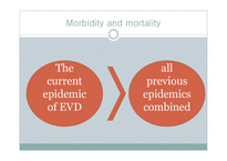 [병리학] Ebola Virus Disease in West Africa-6