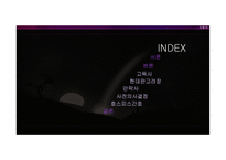 [노인간호] 노인의 생명윤리와 죽음에 대하여-2