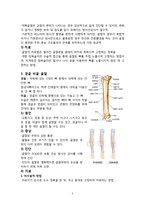 [간호학] 요부 통증, 다발성 골절로 인한 통증 환자 통합간호 case study-5