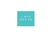 [인문] 한나라와 위진 이후의 문자-4