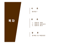 [사회] 한류의 성공과 문제점 및 해결방안-2