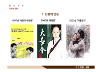 [사회] 한류의 성공과 문제점 및 해결방안-8