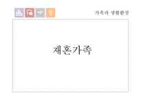 [사회] 재혼가족 유형 및 실태와 정책연구-1