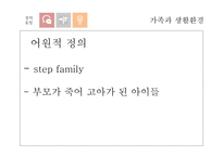 [사회] 재혼가족 유형 및 실태와 정책연구-3