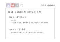 [사회] 재혼가족 유형 및 실태와 정책연구-19