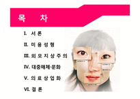 [사회] 미용성형에 대한 사회적 요인 분석-2