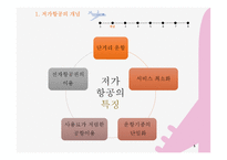 [사회] 저가항공의 전략 및 문제점 고찰-5