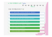 [사회] 저가항공의 전략 및 문제점 고찰-12