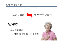 [사회] 노인우울증 예방과 치료 및 관련 정책과 사업 연구-9