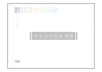 [사회] 중국 농민공에 대한 연구-5