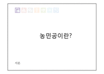 [사회] 중국 농민공에 대한 연구-7