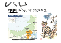 [사회] 중국 톈진 허베이 산시의 발전과 불균형 고찰-10