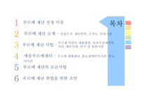 [사회] 사회복지현장 조사-푸르메 재단-2