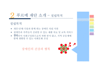 [사회] 사회복지현장 조사-푸르메 재단-5