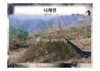 [한국사] 조선시대 겨울철 세시풍속-20