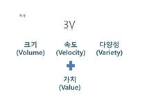 [사회] 빅데이터의 문제점과 미래전망-4