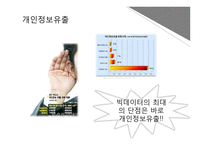[사회] 빅데이터의 문제점과 미래전망-12