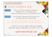 [사회] 동북아시아의 다자안보협력-6