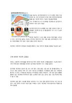 [사회] 강남과 강북의 장소성 비교-12