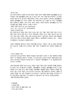 [사회] 재혼가족 유형 및 실태와 정책연구-9