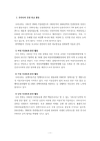 [사회] 인권 증진을 위한 국제사회복지 실천사례-3