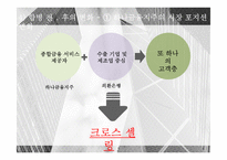 [경영] 하나금융지주의 외환은행 인수사례-17