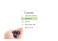 [경영] 후발주자 성공사례-JVM(제이브이엠)-11