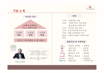 [경영] 남영산업 `비비안` 마케팅 전략 분석-4