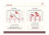 [경영] 남영산업 `비비안` 마케팅 전략 분석-5