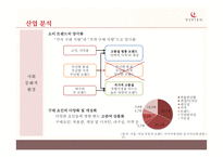 [경영] 남영산업 `비비안` 마케팅 전략 분석-10