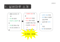 [경영] 실버타운 통합 사이트 기획안-3