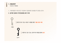[경영] 비트코인의 논란과 미래전망 고찰-13