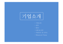 [경영] 시니어타운 산업과 전략 분석 및 HRM-3