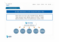 [경영] 시니어타운 산업과 전략 분석 및 HRM-6