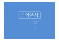 [경영] 시니어타운 산업과 전략 분석 및 HRM-11