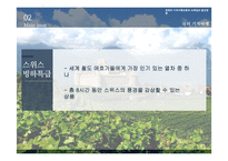 [경영] 국내외 기차여행 상품과 코레일 발전방향-16