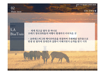 [경영] 국내외 기차여행 상품과 코레일 발전방향-20