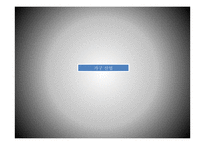 [경영] 이케아 기업철학과 전략 분석-3