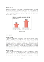 [경영] ZARA VS SPAO 국내시장 전략 비교-8
