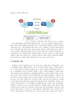 [경제] 전세제도 분석 및 향후 전망-5
