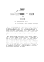[경제] 전세제도 분석 및 향후 전망-17